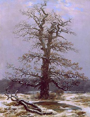 Caspar David Friedrich Eiche im Schnee oil painting image